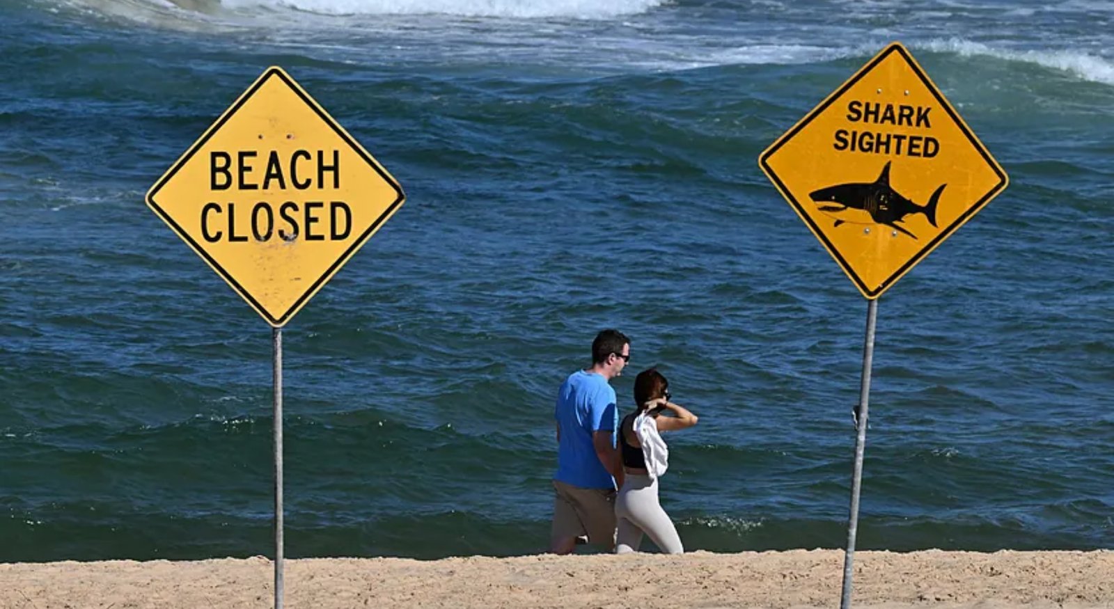 ataque-de-tiburones-54983