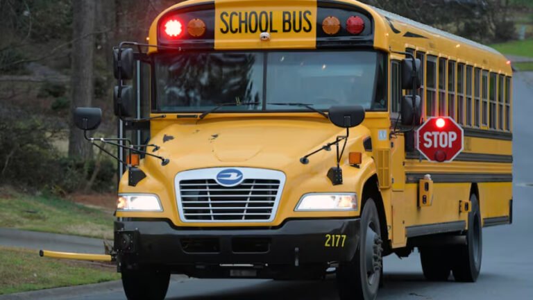 cortesia-accidente-de-transito-en-sudafrica-54950