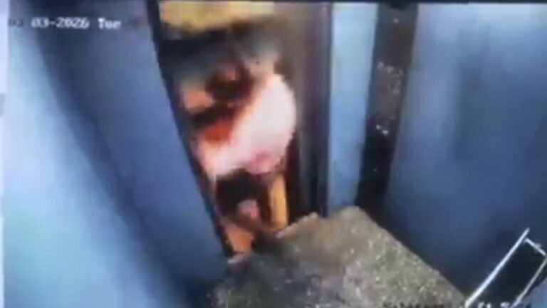 69a9506259bf5b66680b8f8f