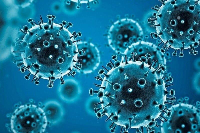 coronavirus